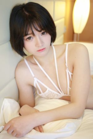 仙鹤神针电视剧高清在线观看免费