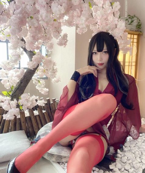 91视频免费观看在线看