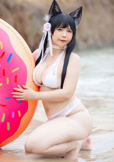 海底小纵队第七季免费观看